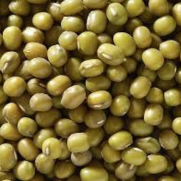 Green mung beans