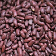 Red kidney beans